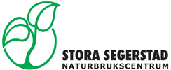 stose Stora Segerstad
