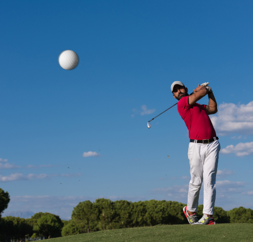 Gröna schema från NIB Programmerin