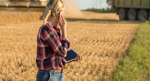 Skörd i växtodlingen