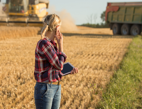 Nyheter i APL-programmet