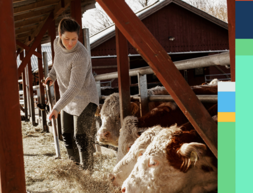 NIB Optimera – ett lättanvänt optimeringsprogram med stora möjligheter