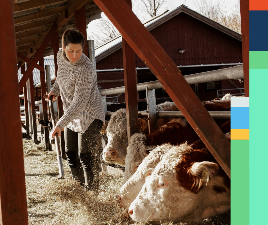 NIBStat för foderräkningen enkel