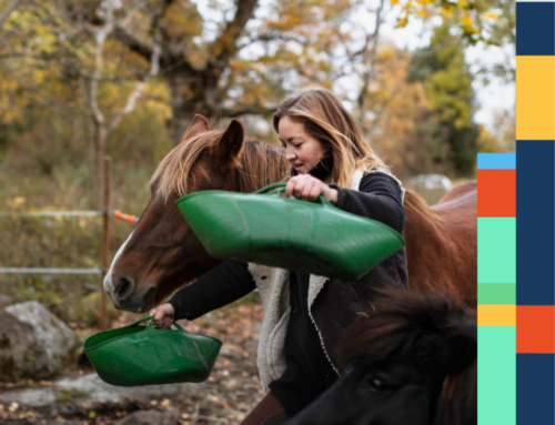 Nyttiga hjälptexter i utfodringsprogram