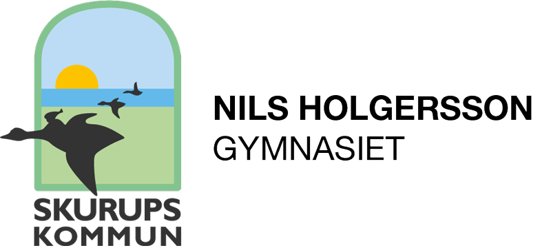 Nils Holgersson gymnasiet