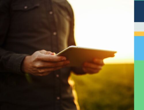 Ny server för NIBStat och förbättringar i Årshjul