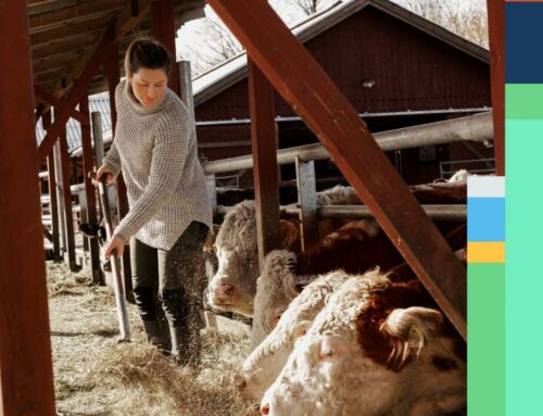 Mycket användning av APL-verktyg